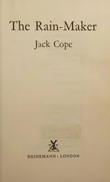 Cover of The rain-maker