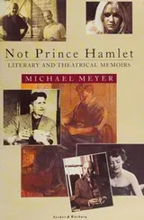 Cover of Not Prince Hamlet