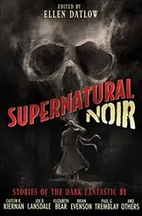 Cover of Supernatural noir