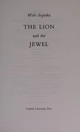 Cover of The Lion and the Jewel