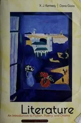 Cover of Literature--Second Compact Edition
