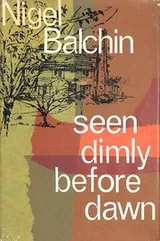 Cover of Seen dimly before dawn