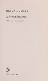 Cover of Fire on the Moon