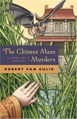 Cover of The Chinese maze murders