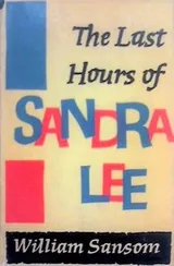 Cover of The last hours of Sandra Lee
