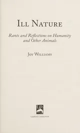 Cover of Ill Nature