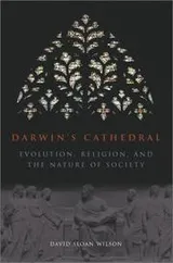 Cover of Darwin's Cathedral