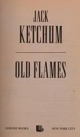 Cover of Old flames
