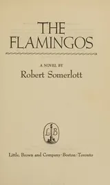 Cover of The flamingos