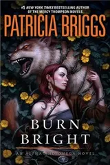 Cover of Burn bright