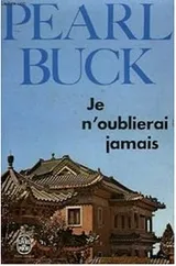 Cover of Je n'oublierai jamais. traduit par lola tranec.