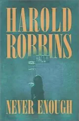 Cover of Never enough