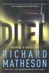 Cover of Duel