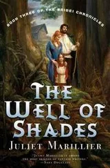 Cover of The Well of Shades (Bridei Chronicles)
