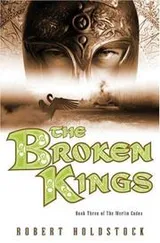 Cover of The broken kings
