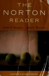 Cover of The Norton reader -- Shorter Eleventh Edition