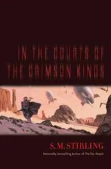 Cover of In the courts of the crimson kings