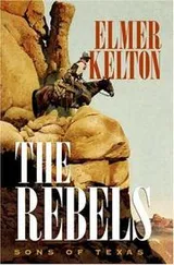 Cover of The rebels