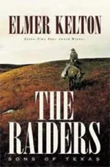 Cover of The Raiders
