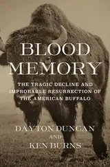 Cover of Blood Memory