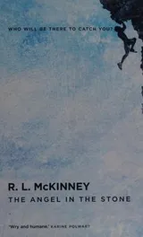 Cover of Angel in the Stone