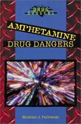 Cover of Amphetamine Drug Dangers