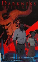 Cover of Darkness visible