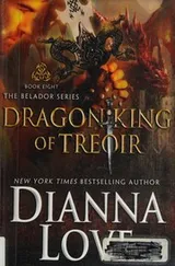 Cover of Dragon King of Treoir