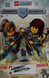 Cover of The forbidden power