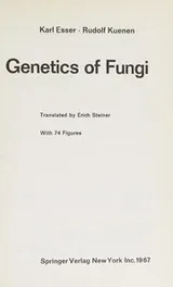 Cover of Genetics of Fungi