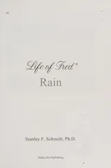 Cover of Life Of Fred Rain Book #6 Eden Series