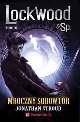 Cover of Mroczny sobowtór