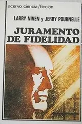 Cover of Juramento de fidelidad