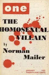 Cover of The Homosexual Villain