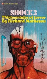 Cover of Shock 3