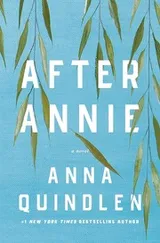 Cover of After Annie