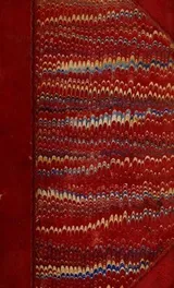 Cover of Aventures de quatre femmes et d'un perroquet