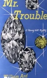 Cover of Mr. Trouble