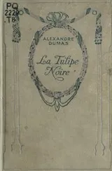Cover of La tulipe noire