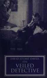 Cover of The Veiled Detective