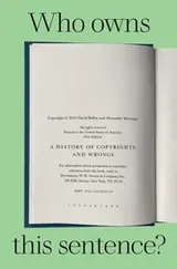Cover of Who Owns This Sentence?