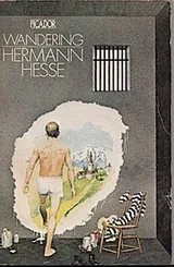 Cover of Wandering