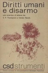 Cover of Diritti umani e disarmo