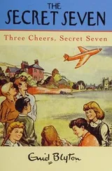Cover of Three Cheers, Secret Seven