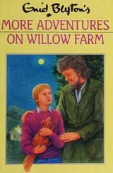 Cover of More Adventures on Willow Farm