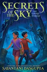 Cover of Ghost Forest (Secrets of the Sky, Book Three)