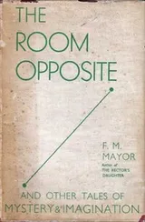 Cover of The room opposite