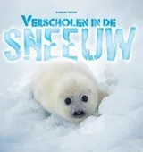 Cover of Hidden in the snow