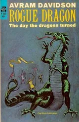 Cover of Rogue Dragon, The Day the Dragons Turned