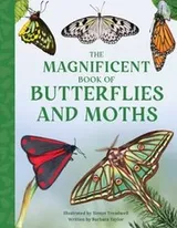 Cover of Magnificent Book of Butterflies and Moths